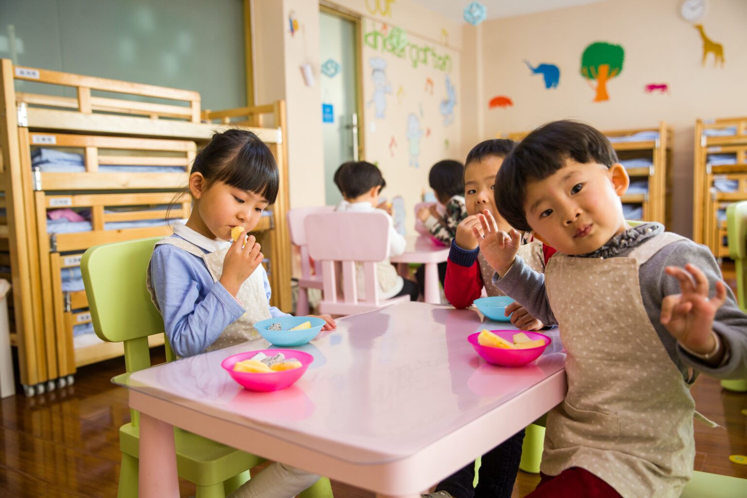 Matrícula escolar: a partir de qual idade é obrigatória? | Escola em ...